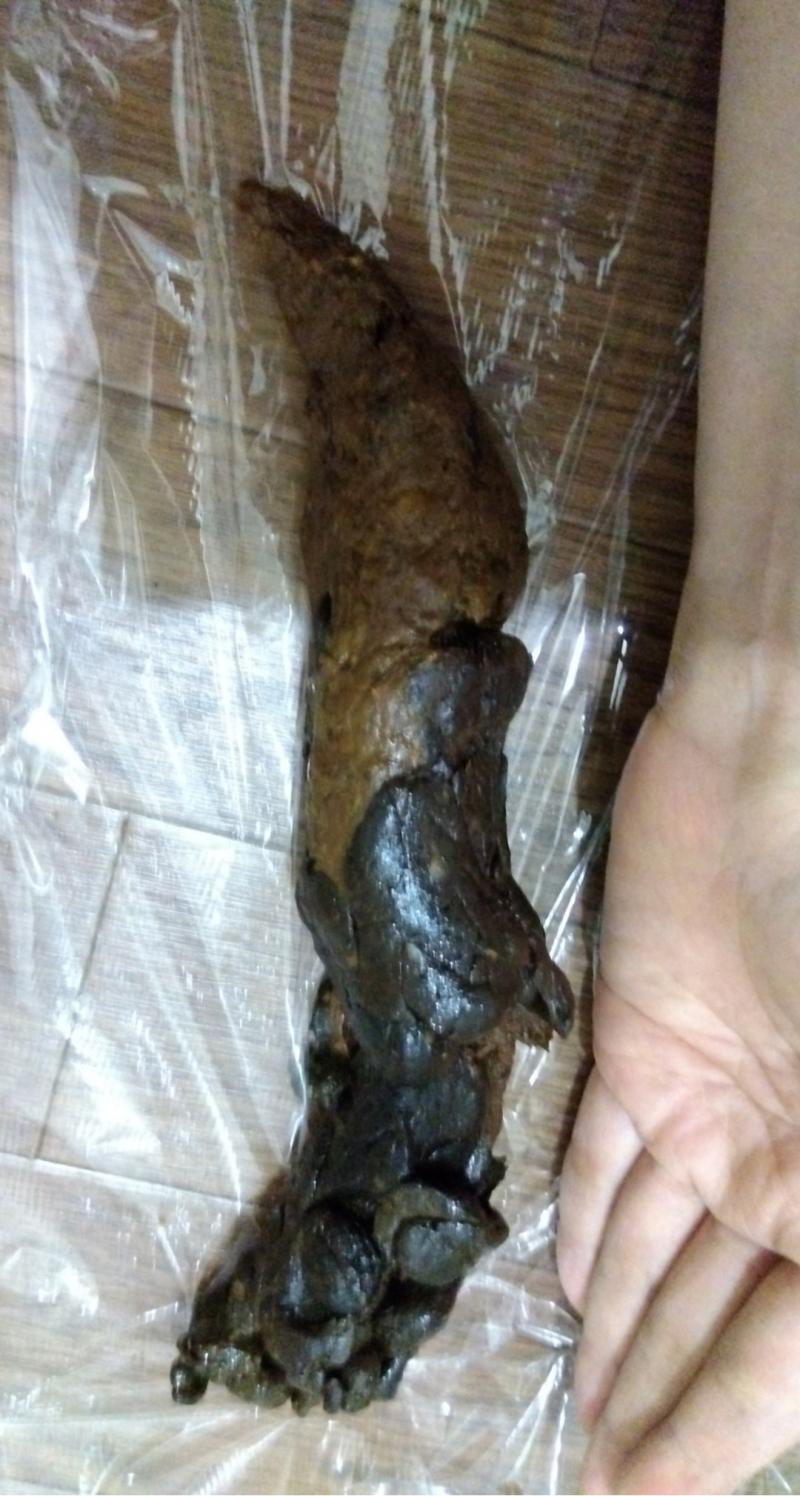 出品者名-写真